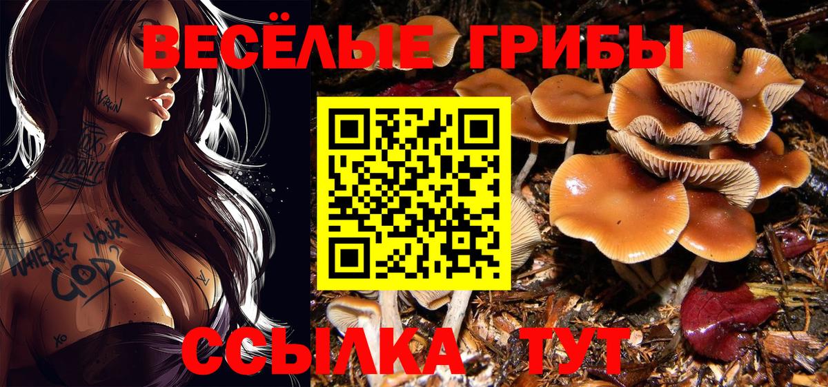 Псилоцибиновые грибы Cubensis  Вход с VPN  Когалым 